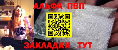 гашик Кингисепп
