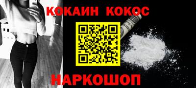 гашик Кингисепп