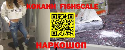 гашик Кингисепп