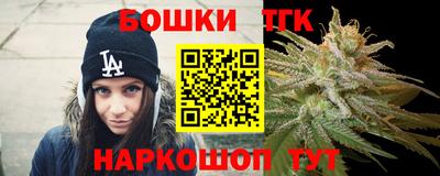 гашик Кингисепп