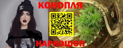 гашик Кингисепп