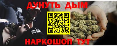гашик Кингисепп