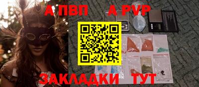 гашик Кингисепп